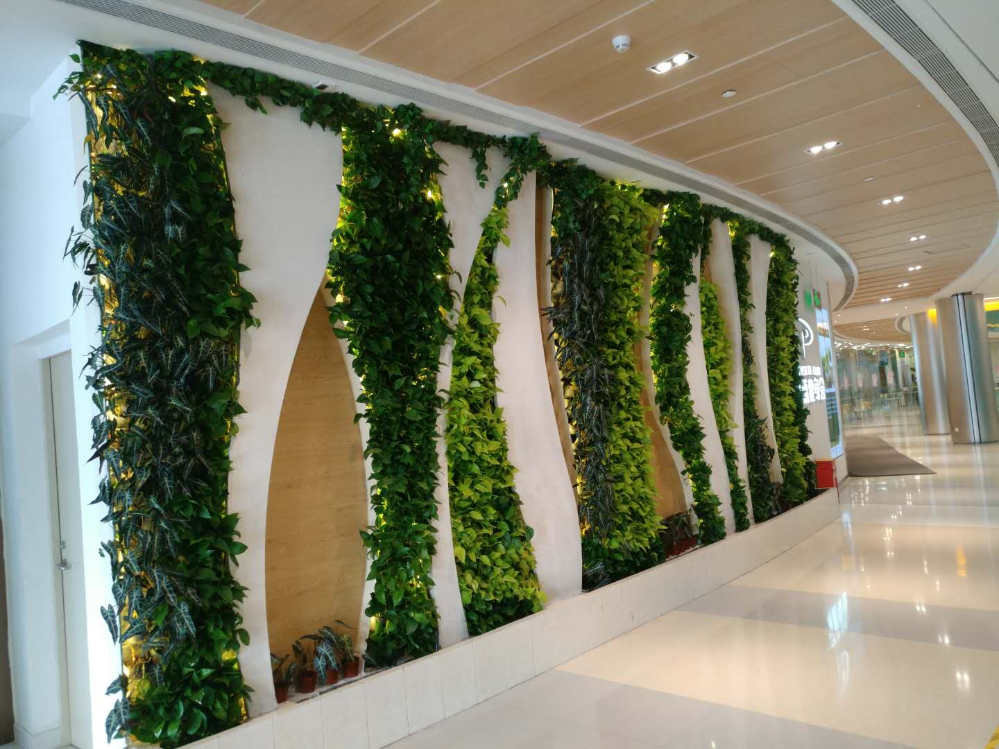 硕士、博士超千人,泰康HWP成为人才高地