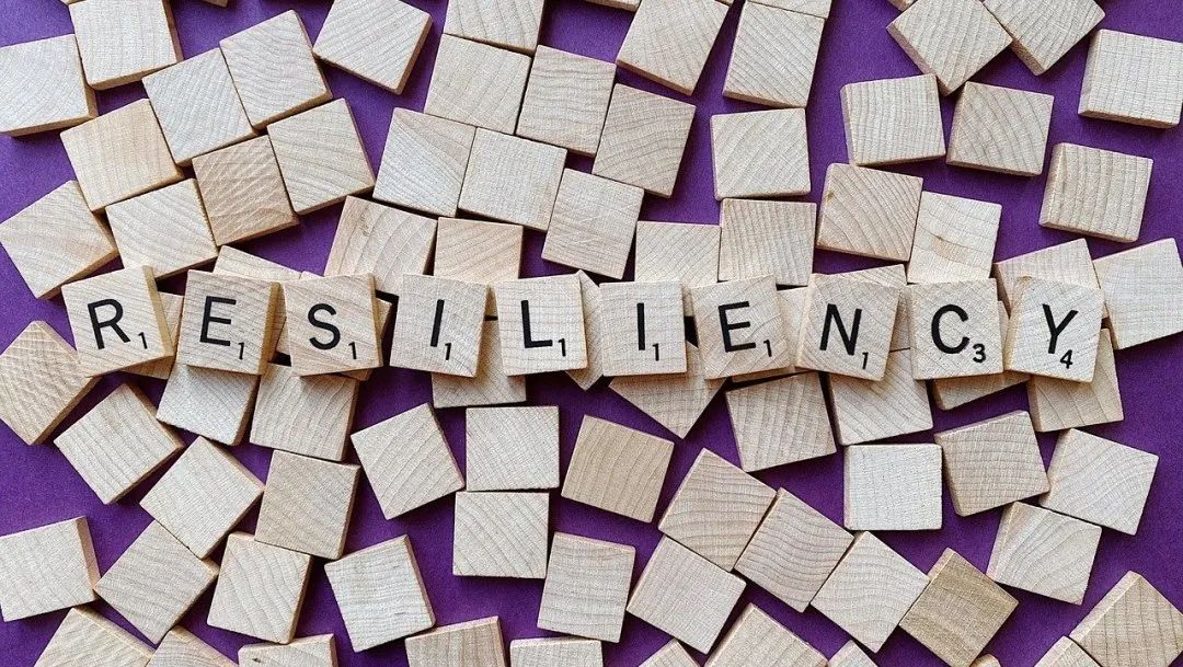 特斯拉(TSLA.US)计划在旧金山湾区推出Robotaxi服务,但尚未获准