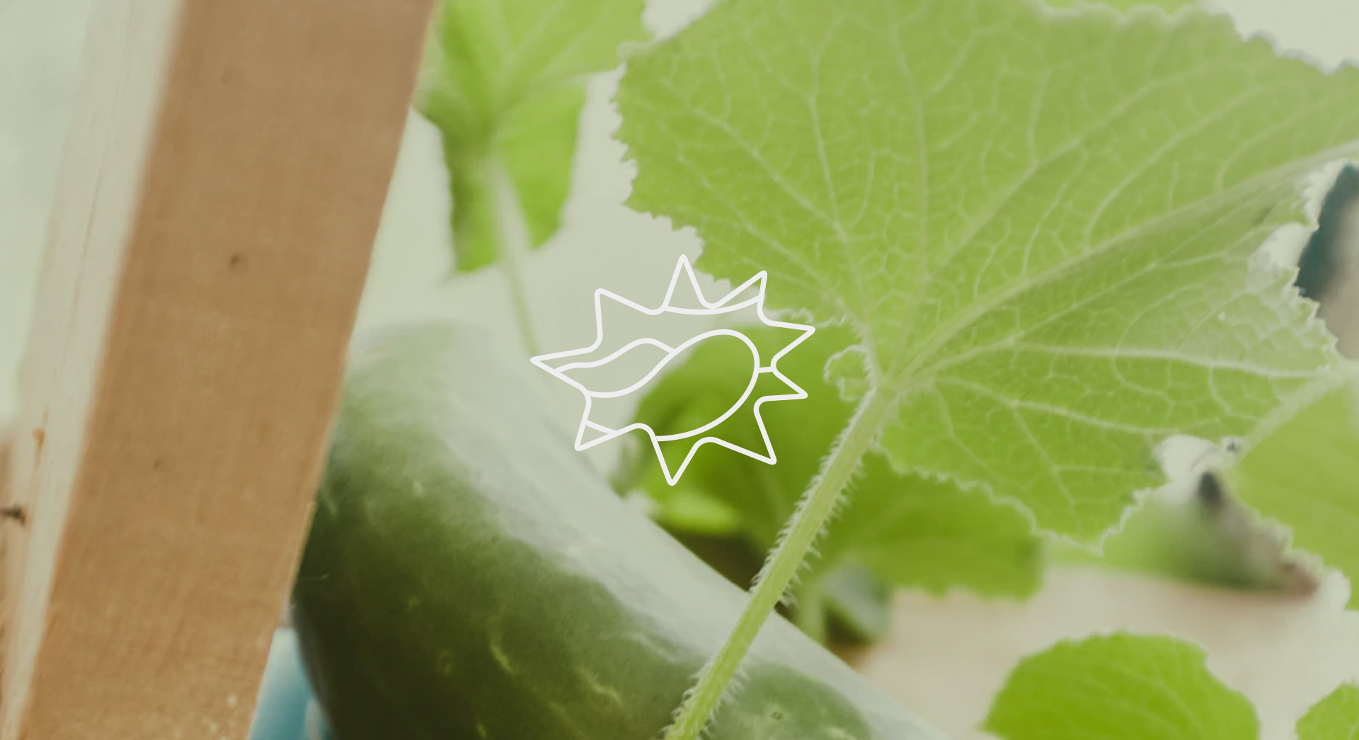 中国“飞鲨”首飞成功16周年，一起回顾那些高燃瞬间