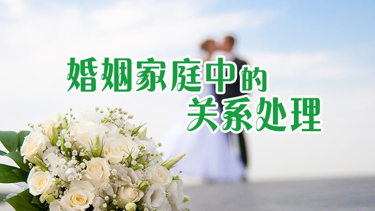 清水河滨河公园创新构建植物“全链条防护网”