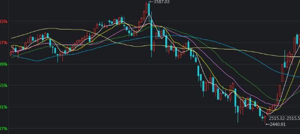 梅州海关供港澳活猪远程检疫监装模式正式启动