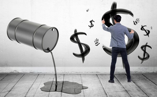 五里镇：800亩贝贝南瓜喜获丰收