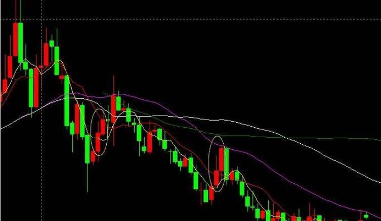 全国人大代表黄成辉：扎根生产一线，践行民主担当