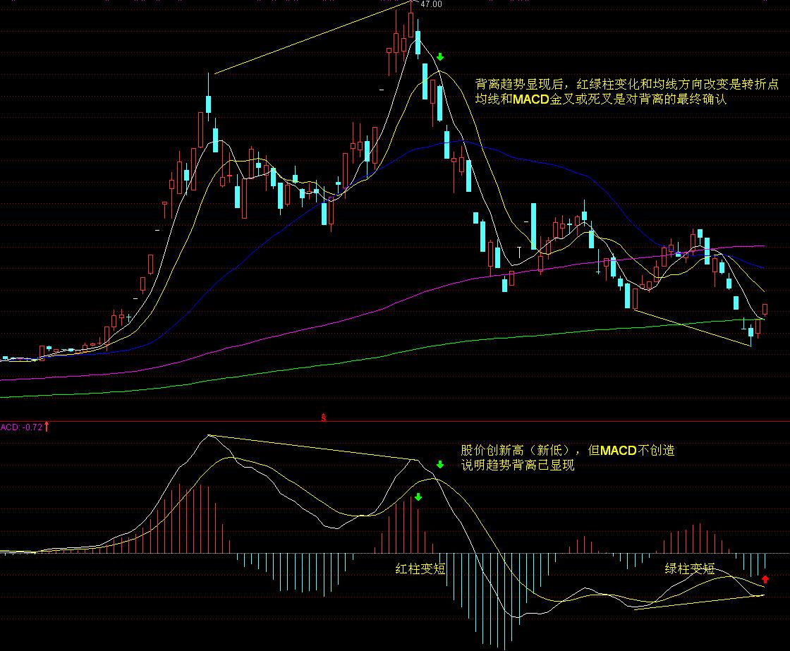 美国得州洪水造成至少13人死亡 逾20名夏令营儿童失踪