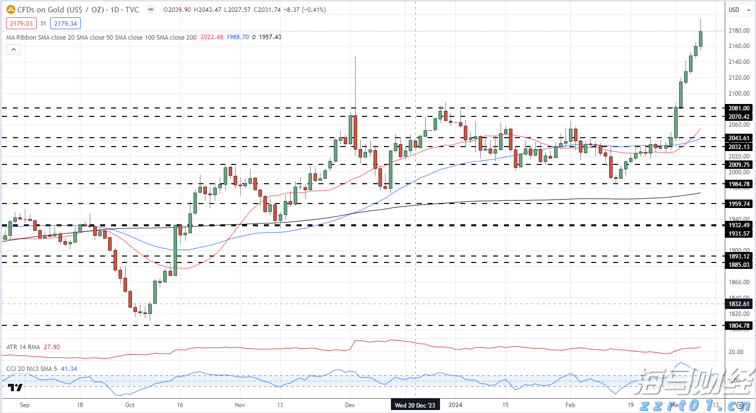 野村Q2投资布局聚焦AI及高波动性股票，重仓特斯拉期权