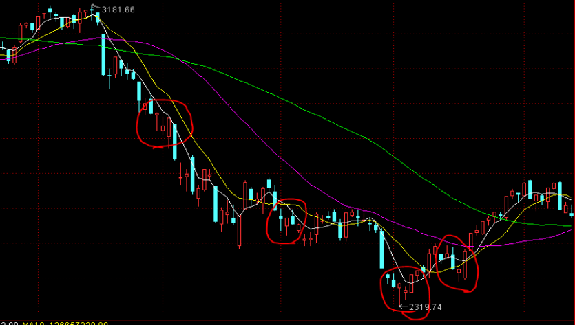“秋冻”“贴秋膘”有讲究!专家回应秋季养生热门话题