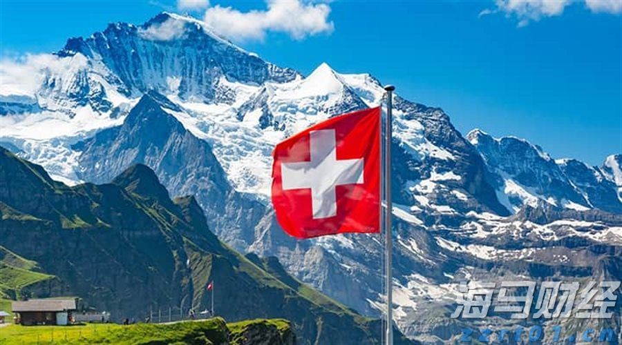 2024年度全国三八红旗手谢冰梅：“回游青年”反哺桑梓 挑起乡村振兴担子