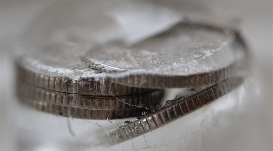 万物共生  和美永续